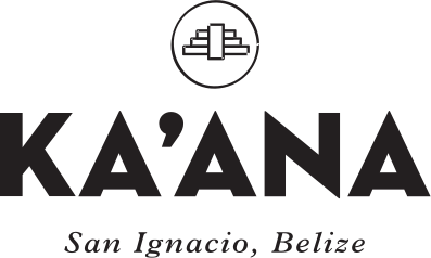 newlogo-lockup