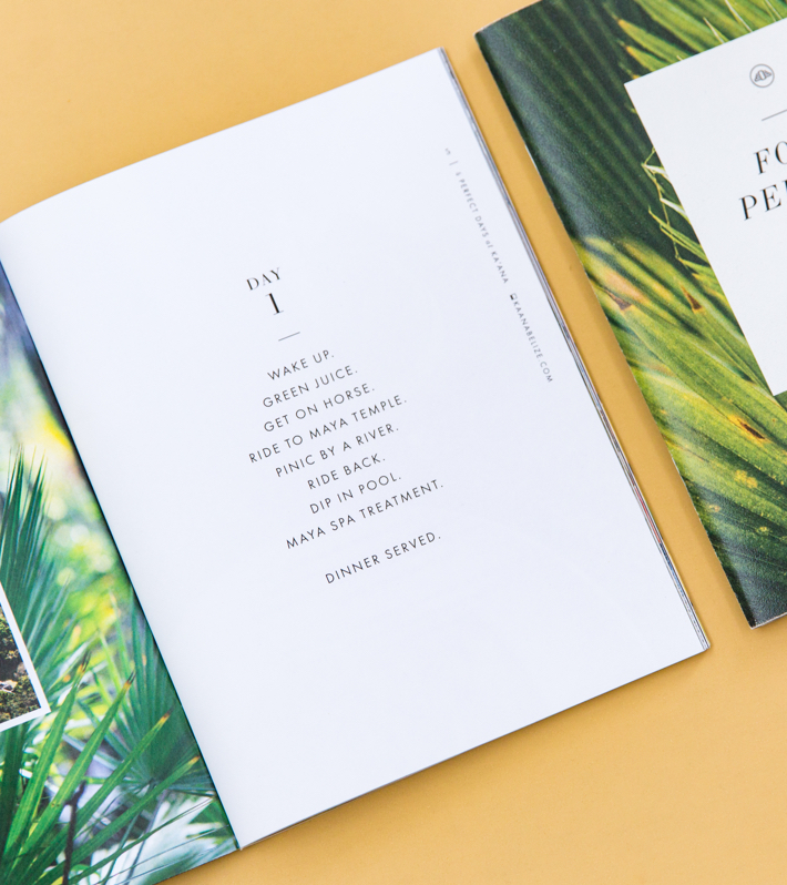 Project-Kaana@2x